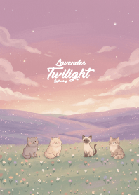 Lavender Twilight Gathering