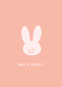 WHITE RABBIT THEME 108