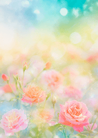 Beautiful rose flower(R3831)