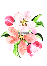 water color flowers_993