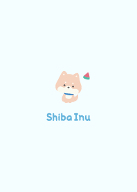 Shiba Inu3 Watermelon [Blue]