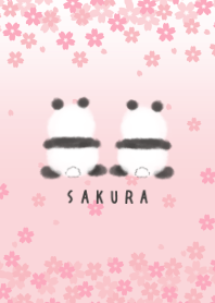 Sakura and twin pandas. Spring theme.