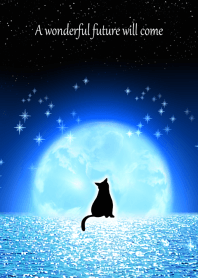 月が浮かぶ夜の海と猫