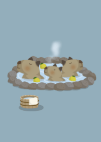 Capybara and hot spring ver.2