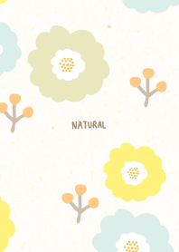 Flowers and fruits adult27