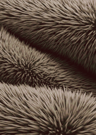 stampAI-fur-ondlkc