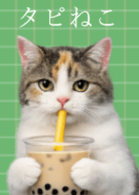 TAPIOCA CAT, LOVE CAT! 3 fix