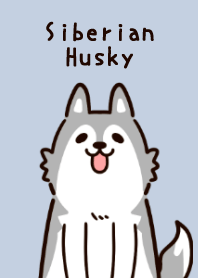 Cute Siberian Husky!