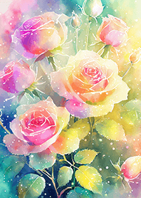 Beautiful rose flower(R2165)