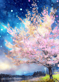 Beautiful night cherry blossoms#1117