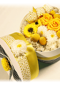 theme【flower】31