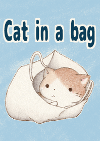 Cat in a bag