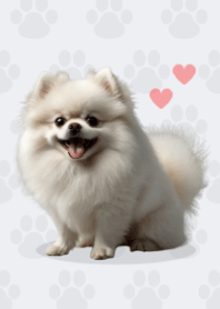 Cute Pomeranian Theme B/W 01