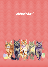 Cat visits on red JP