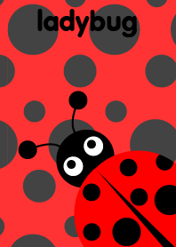 Red Lady Bug.