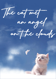The cat met an angel on the clouds