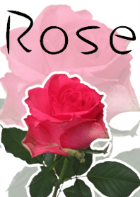 *Flower* Rose #02