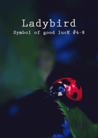 Ladybird Symbol of good luck #4-8