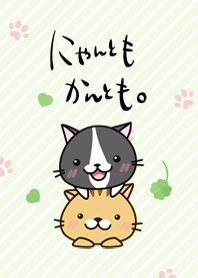 Cats(tora&shirokuro