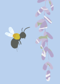 Wisteria and bee