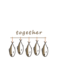 fish staring - together