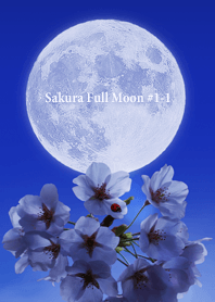 Sakura Full Moon #1-1