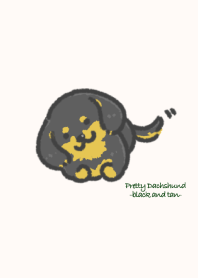 Pretty Dachshund-black&tan-