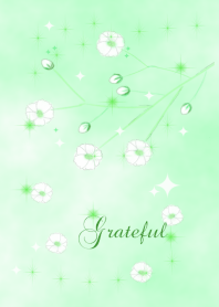 The Baby's-breath~Grateful~