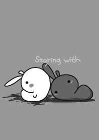 rabbit staring-18