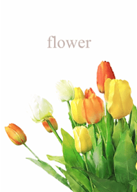 Light tulip fragrance1.