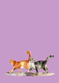 two cats on light purple