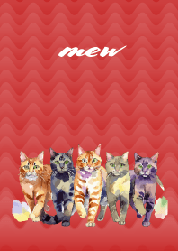 Cat visits on red & beige