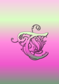 ~イニシャル T~
