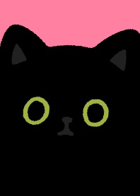 Black cat so black/14