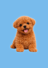 Plush Toy Poodle Blue 05
