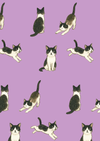 tuxedo cat05 on light purple