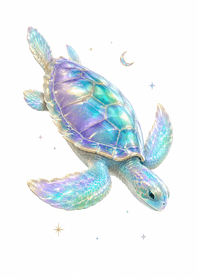 Stardrift Shell