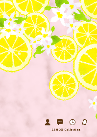 LEMON Collection 3