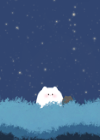 BiBi in the night