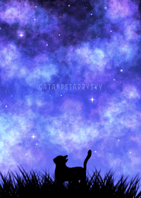 CATANDSTARRYSKY -PURPLE- 14