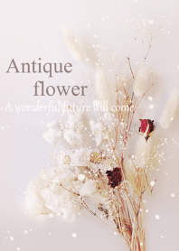 World of Antique Dried Flower15.