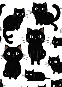 Super cute black cat UcKLI