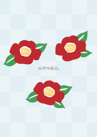 Camellia blooms19 from Japan