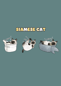 siamesecats5 - cadet blue