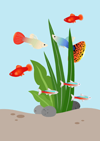 Virtual fish tank!(Aqua blue)