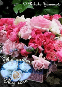 My garden, My rose_Various_3