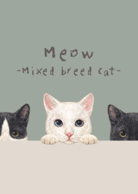 Meow - Mixed breed cat 02 - GREEN GRAY