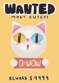 O-Wow : The most cutest Cat