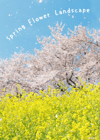 Spring Flower Landscape from Japan