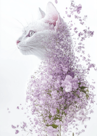 Butterfly Dance, Floral Whispers Cat Z